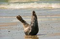 helgoland-bearbeit_3